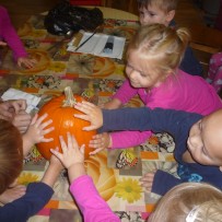 2. oddělení -říjen 2023   ll.