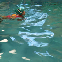 3 odd. - plavání - 21.11. 2024