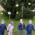 1. oddělení - na procházce advent