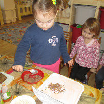 2.oddělení - Vytváříme novou výzdobu