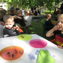 2.odd     Svatojakubský den se povedl