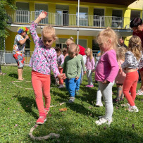 3. oddělení - MDD