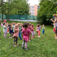 3. oddělení - MDD