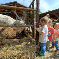 3. oddělení - hurá do Bioparku Teplice