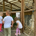 3. oddělení - hurá do Bioparku Teplice
