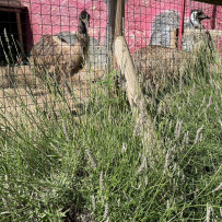 3. oddělení - hurá do Bioparku Teplice