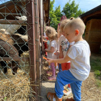3. oddělení - hurá do Bioparku Teplice
