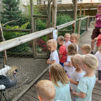 3. oddělení - hurá do Bioparku Teplice