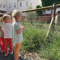 3. oddělení - hurá do Bioparku Teplice