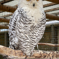 3. oddělení - hurá do Bioparku Teplice