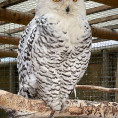 3. oddělení - hurá do Bioparku Teplice