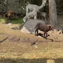 3. oddělení - hurá do Bioparku Teplice