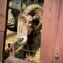 3. oddělení - hurá do Bioparku Teplice