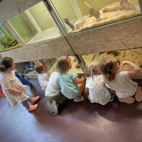 3. oddělení - hurá do Bioparku Teplice