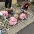 3. oddělení - kreslení křídou