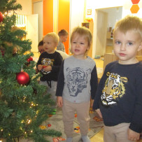 2. odd. Ozdobili jsme si vánoční stromeček