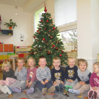 2. odd. Ozdobili jsme si vánoční stromeček