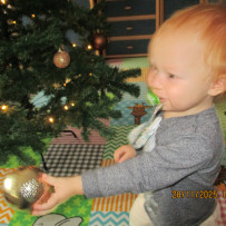1. odd. - Chystáme se na Vánoce