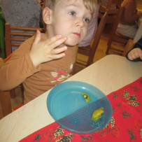 2. odd. Vánoční besídka