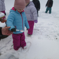 2.odd. Výchovné zaměstnání na zimní zahrádce.