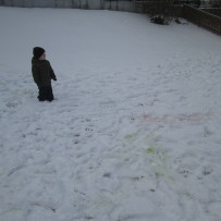 2.odd. Výchovné zaměstnání na zimní zahrádce.