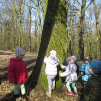 2.odd. Jaro je tady, jdeme do lesa!