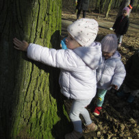 2.odd. Jaro je tady, jdeme do lesa!