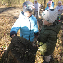 2.odd. Jaro je tady, jdeme do lesa!