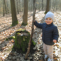 2.odd. Jaro je tady, jdeme do lesa!