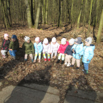 2.odd. Jaro je tady, jdeme do lesa!