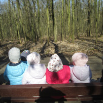 2.odd. Jaro je tady, jdeme do lesa!