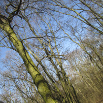 2.odd. Jaro je tady, jdeme do lesa!