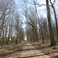 2.odd. Jaro je tady, jdeme do lesa!