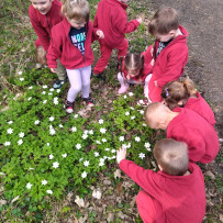3odd.prochazka Řetenicky lesopark