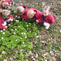 3odd.prochazka Řetenicky lesopark
