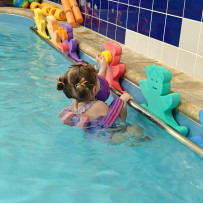 2. oddělení - plavání